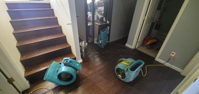 Wood Floor Repair
